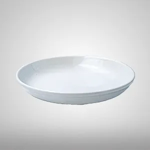 Disposable Plates